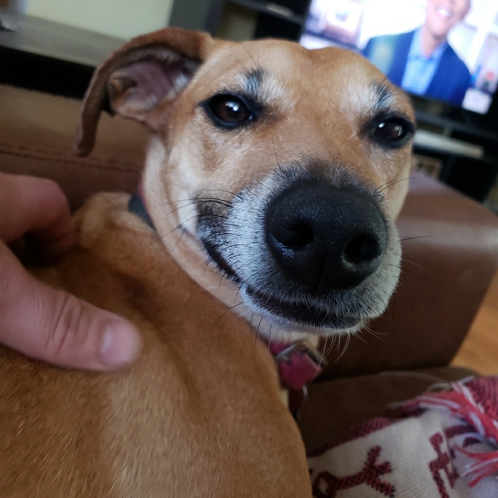 Meet your Posher, Dereck